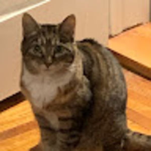 Meet your Posher, Heidi